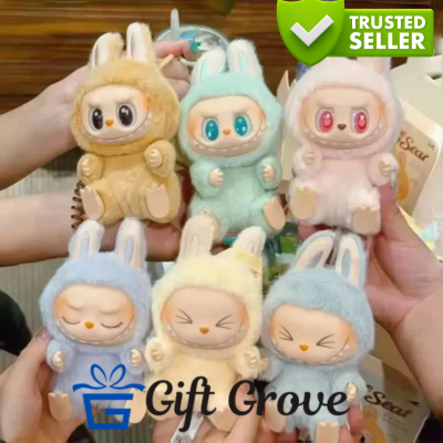 Labubu Surprise Adventure Box